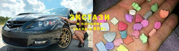 молекула духа Богданович