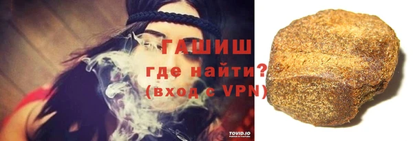 молекула духа Богданович