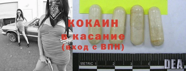 крисы Богородск