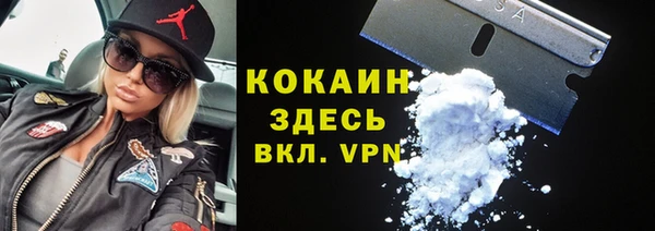 мдпв Богородицк