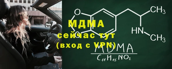 молекула духа Богданович