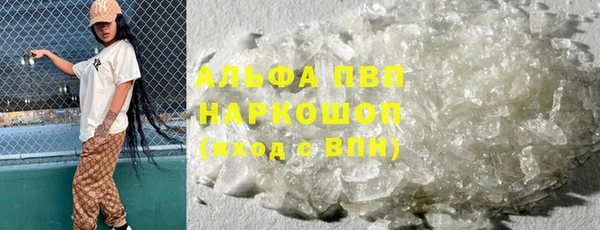 молекула духа Богданович