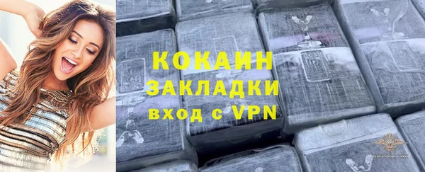 мдпв Богородицк