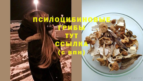 мдпв Богородицк