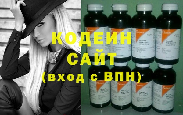 молекула духа Богданович