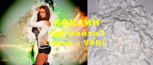 мдпв Богородицк
