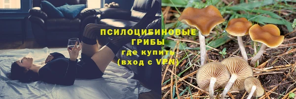 молекула духа Богданович