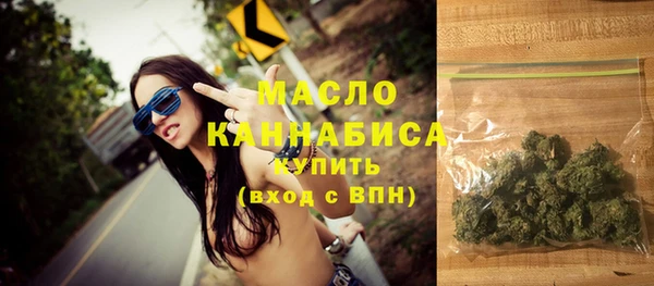 молекула духа Богданович