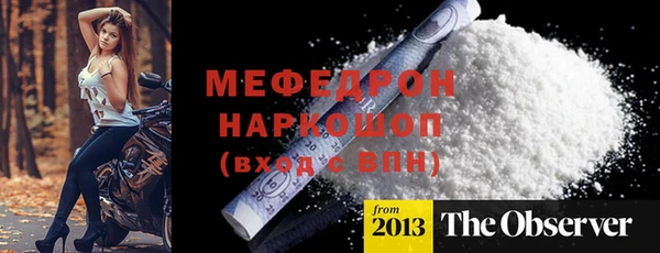 молекула духа Богданович
