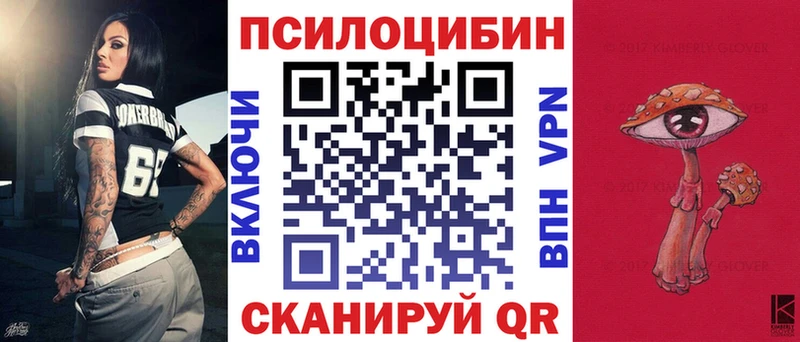 Купить  Маркс  Галлюциногенные грибы Psilocybine cubensis 
